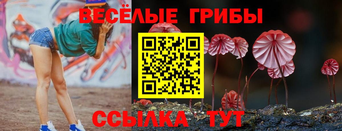 Псилоцибиновые грибы Psilocybine cubensis  Галлюциногенные грибы ЛСД  Каменка  купить  сайты  Вход с VPN 
